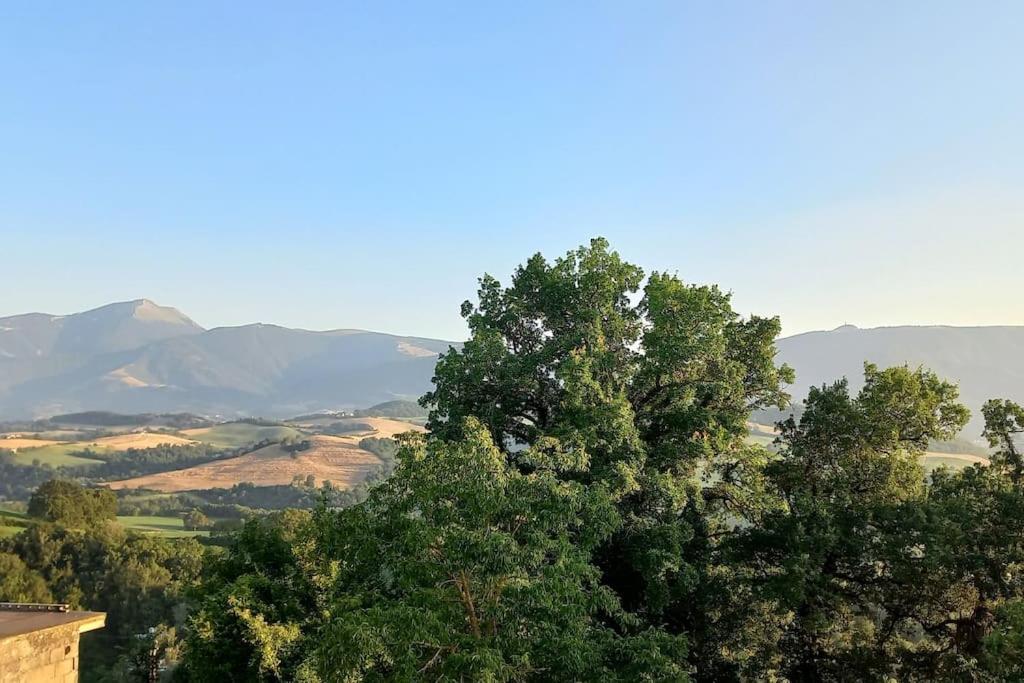 Pigno, Appartamento In Campagna Cagli Exterior foto